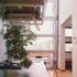 Internal view of kitchen and glazed wall
