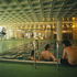 Swimming pool on the ground floor