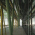 V shaped columns of perimeter shed