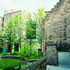 A ‘delicious’ urban garden