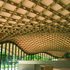 The latticing resembles a giant sheet of tripe made of wood