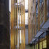 Larch fins surrounding stairway