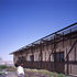 The harsh but reassuring solidity of the concrete is tempered by the delicate brise soleil