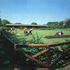 Low key timber pergola and fencing