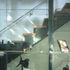 Display case alongside the staircase in No 80