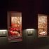 Telling Tales: Fantasy and Fear in Contemporary Design 