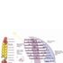 Environmental diagram