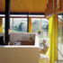 View into the living room
