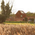 The building sits in the abstract landscape of the reedbeds at the boundary between the land and the sea