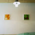 Plywood ceiling panels