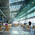 The double-height restaurant recieves plentiful daylight