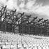 Phase two upper structure under construction