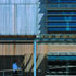 The external timber cladding is untreated and intended to weather