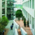 Narrow internal street with view of landscaping beyond