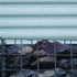 Gabion detail