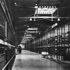 Internal view of warehouse
