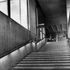 Main approach stair to first library level