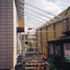Steel box sections support the conservatory glazing and provide stability to the flank wall