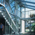 The steel mesh stair and mezzanine ensure that the conservatory is read as a single space