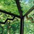 Segments of the green world of the Hexenhaus