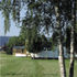 The factory in the landscape