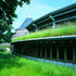 Turf-roofed service spaces