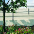 Detail of planting