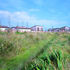 An environmentally sustainable development that has created waves in the quiet Essex resort of Jaywick Sands     