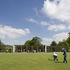 Looking onto the practise green