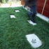 Stepping stones
