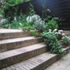 Steps down to the garden