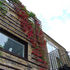 The horizontal trellis bars are strongly articulated