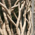 Close up of the flax and hemp intertwined