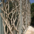 The flax and hemp are an unconventional form of shading