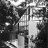 View from garden