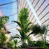 The secret botanical garden