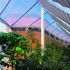 The tent-like botanical house: the use of etfe,  rather than glass,  sacrificed some transparency but helped to minimise the structure