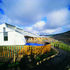 The sloping zinc roofs descend into the curved playground