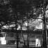 View of exterior through the trees