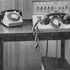 Telediction