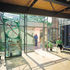 The atrium opens on to a small courtyard