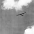 Glider in flight
