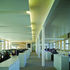 Muted colours and screens of untreated larch strips are used throughout the interior spaces