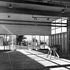 The gymnasium