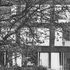 Garden elevation
