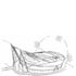 Concept sketch