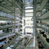 Sunscoop shines light into the central atrium