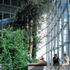 Natural light comes in through the skygardens