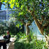 Skygardens allow employees to relax during breaks