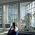 Skygardens improve the office environment